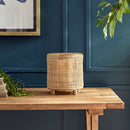NAPA Home & Garden, RAYA Hurricane Collection