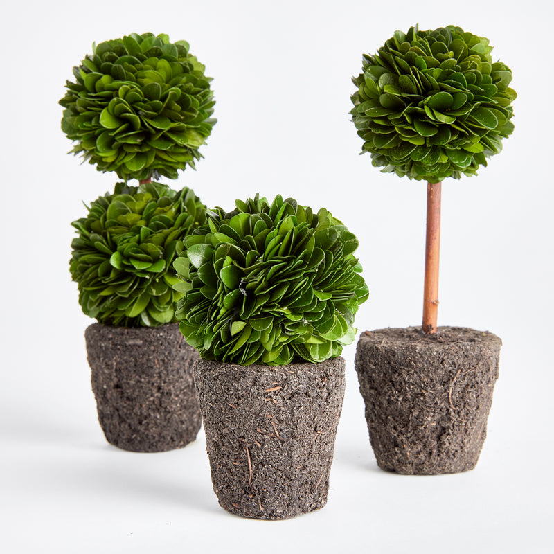 NAPA Home & Garden, BOXWOOD MINI TOPIARY DROP-INS, SET OF 3,N3PG01