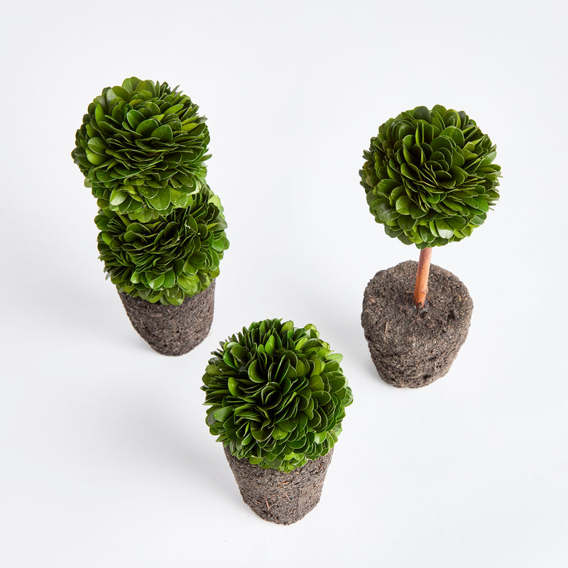 NAPA Home & Garden, BOXWOOD MINI TOPIARY DROP-INS, SET OF 3,N3PG01