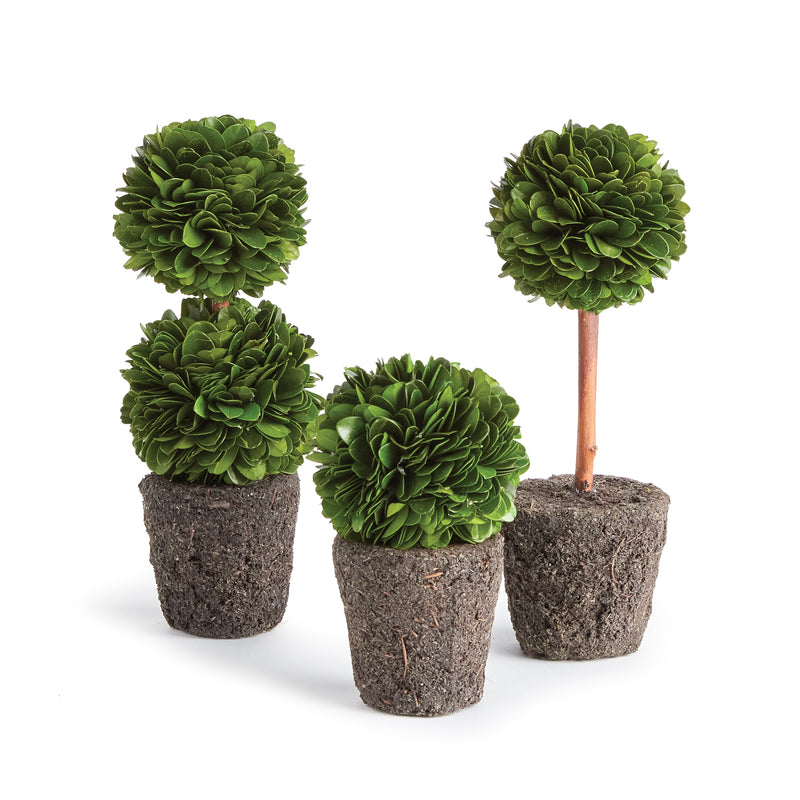 NAPA Home & Garden, BOXWOOD MINI TOPIARY DROP-INS, SET OF 3,N3PG01