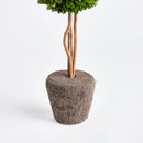 "NAPA Home & Garden, Boxwood Topiary Drop-In Collection"