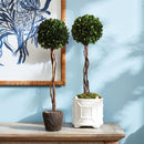 "NAPA Home & Garden, Boxwood Topiary Drop-In Collection"