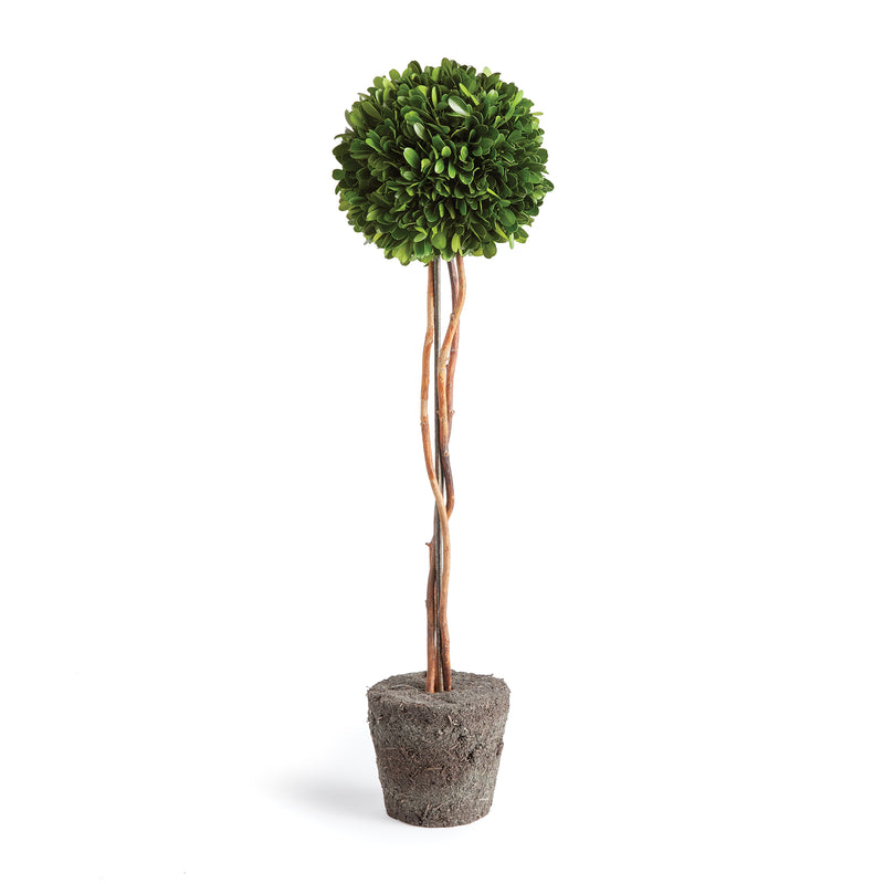 NAPA Home & Garden, BOXWOOD SINGLE SPHERE TOPIARY DROP-IN 24",N3PG03