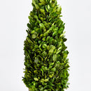 "NAPA Home & Garden, Boxwood Topiary Drop-In Collection"