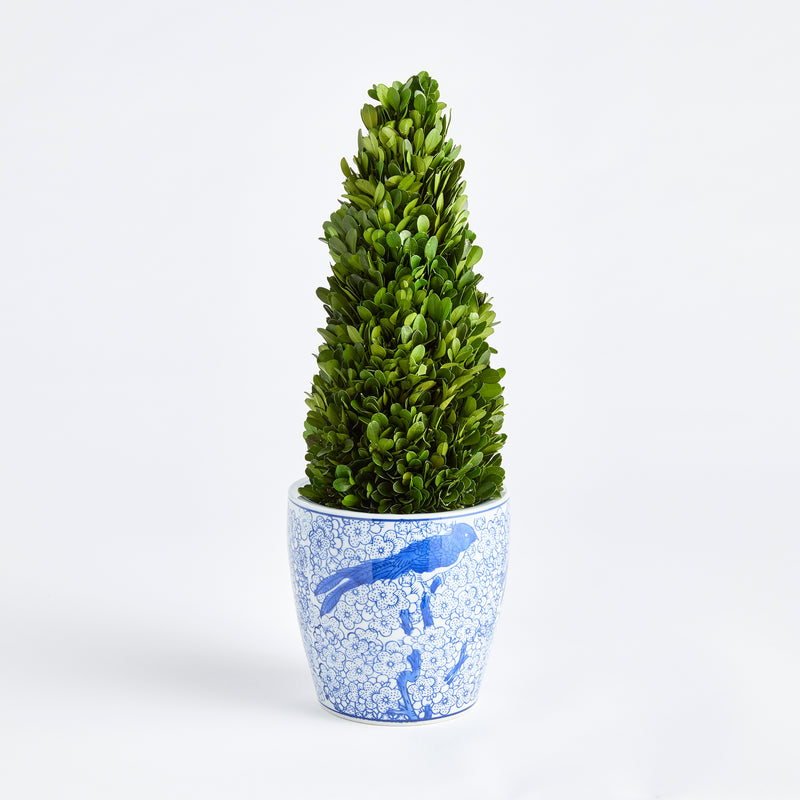 NAPA Home & Garden, BOXWOOD CONE TOPIARY DROP-IN 16",N3PG06