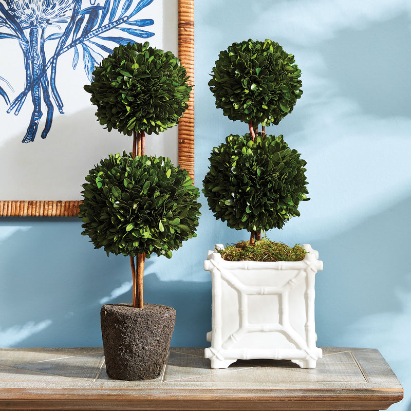 NAPA Home & Garden, BOXWOOD DOUBLE SPHERE TOPIARY DROP-IN 20",N3PG07