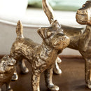 NAPA Home & Garden, LITTLE PACK Collection