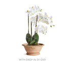 NAPA Home & Garden, WAKEFIELD HANDMADE ALVENA FORCING POT