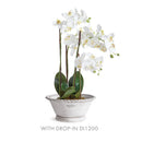 NAPA Home & Garden, WAKEFIELD Handmade Alvena Forcing Pot Collection