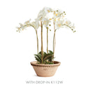 NAPA Home & Garden, WAKEFIELD HANDMADE HENLEY FORCING POT