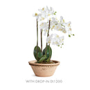 NAPA Home & Garden, WAKEFIELD HANDMADE HENLEY FORCING POT
