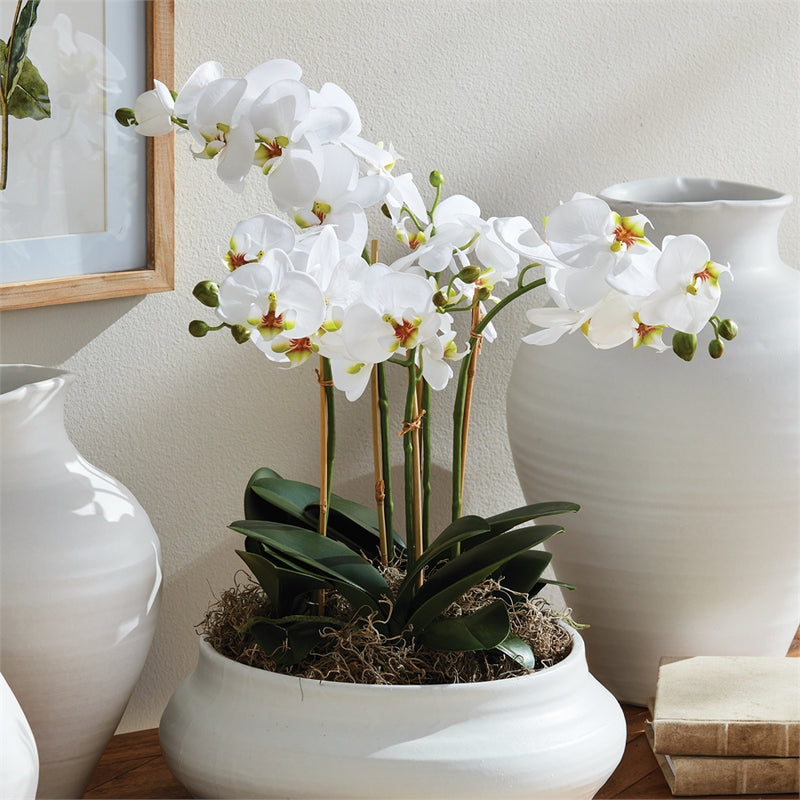 Napa Home Garden, PHALAENOPSIS ORCHID BOWL DROP-IN 20",n4cc01wh