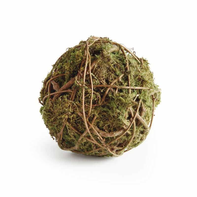 NAPA Home & Garden, MOSSY VINE ORB 6",N4CC05