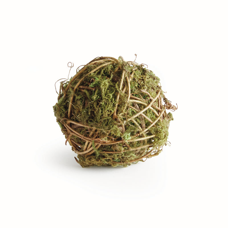 NAPA Home & Garden, MOSSY VINE ORB 4",N4CC06