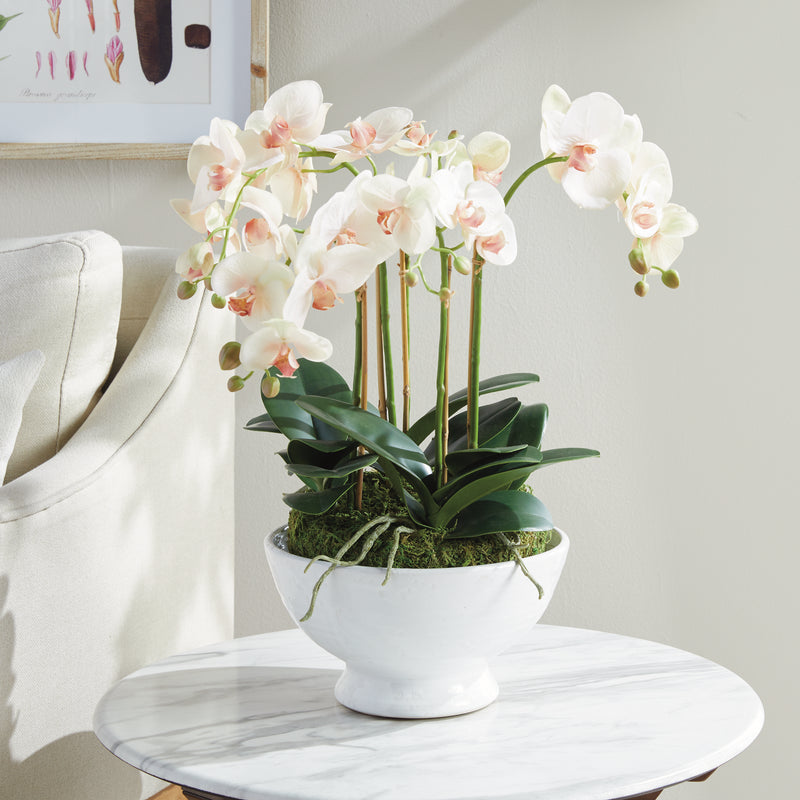 NAPA Home & Garden, PHALAENOPSIS ORCHID BOWL DROP-IN 18.5",N4CC12PKL