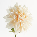 NAPA Home & Garden, DAHLIA STEM 28",N4GP07CR