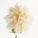 NAPA Home & Garden, Dahlia Stem Collection