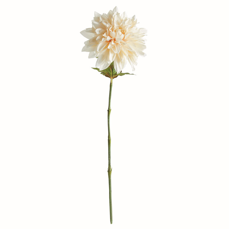 NAPA Home & Garden, DAHLIA STEM 28",N4GP07CR