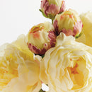 NAPA Home & Garden, Peonies Bundle