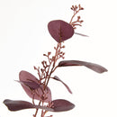 NAPA Home & Garden, Silver Dollar Eucalyptus Branch