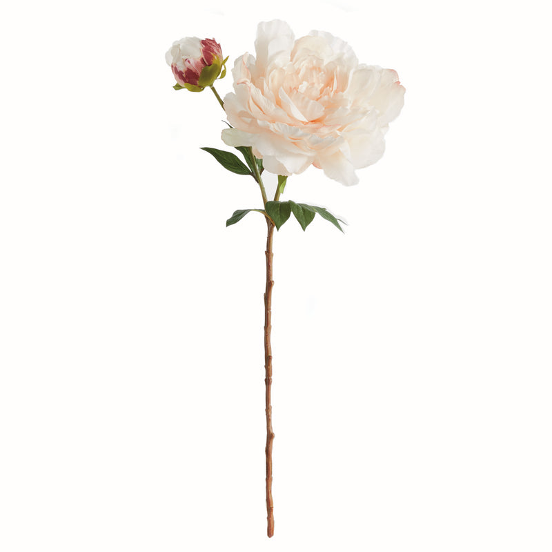 NAPA Home & Garden, PEONY STEM 21",N4GP413RGL