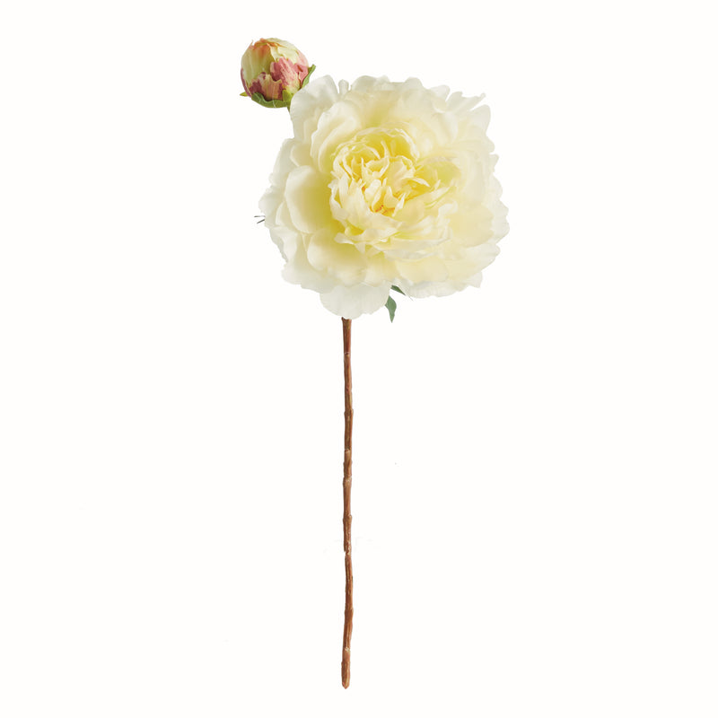 NAPA Home & Garden, PEONY STEM 21",N4GP413YL