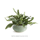 NAPA Home & Garden, AVANI DECORATIVE BOWL,N4NG06GR
