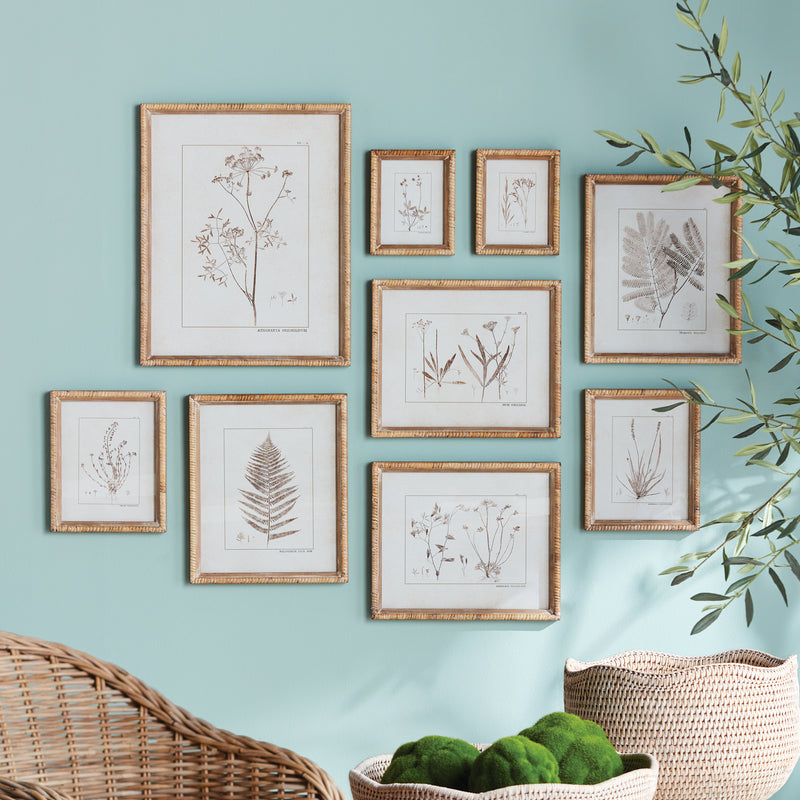 NAPA Home & Garden, BOTANICAL STUDY IN SEPIA, SET OF 9,N4NH02