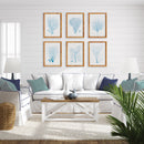 NAPA Home & Garden, SEA FAN AND CORAL STUDY IN BLUE, SET OF 6,N4NH23