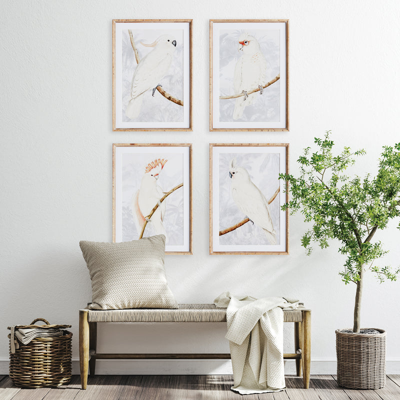 NAPA Home & Garden, WHITE COCKATOO PRINTS, SET OF 4,N4NH28