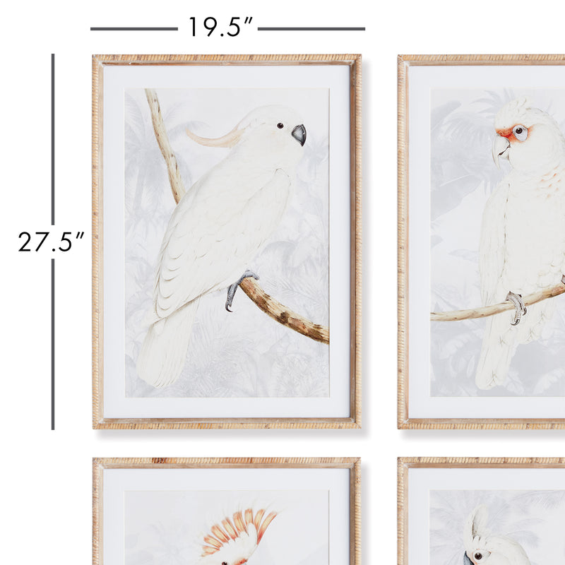 NAPA Home & Garden, WHITE COCKATOO PRINTS, SET OF 4,N4NH28