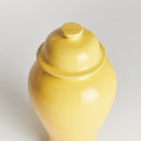 NAPA Home & Garden, KOA LIDDED MINI GINGER JAR LARGE,N4SN24YL