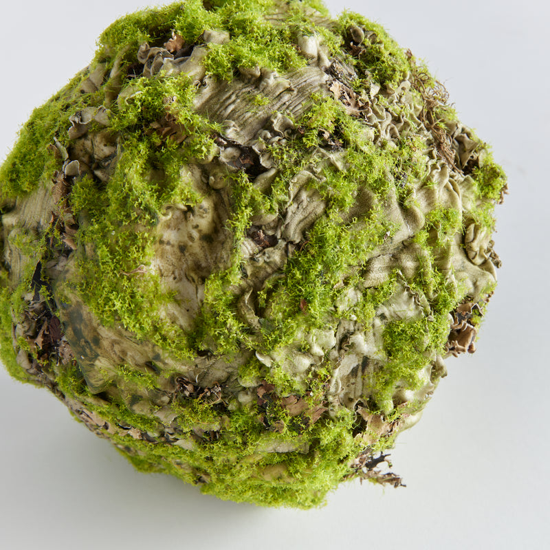 NAPA Home & Garden, MOSSY LICHEN ORB 8.5",N4TP01