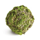 NAPA Home & Garden, MOSSY LICHEN ORB Collection