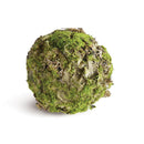 NAPA Home & Garden, MOSSY LICHEN ORB Collection