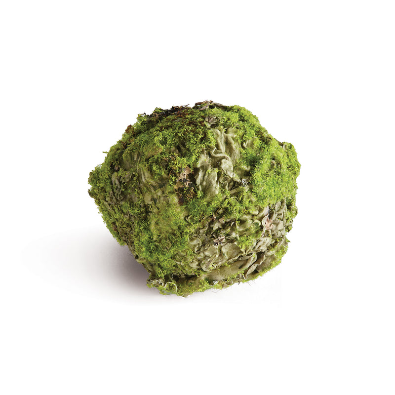 NAPA Home & Garden, MOSSY LICHEN ORB 4.5",N4TP03