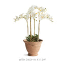 NAPA Home & Garden, Wakefield Handmade Alvena Pot Collection