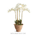 NAPA Home & Garden, WAKEFIELD HANDMADE ALVENA POT Collection