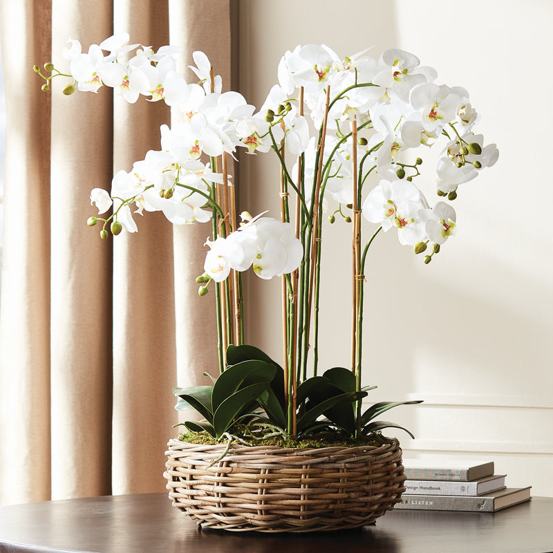 NAPA Home & Garden, PHALAENOPSIS ORCHID BOWL DROP-IN 35",N5CC31WH