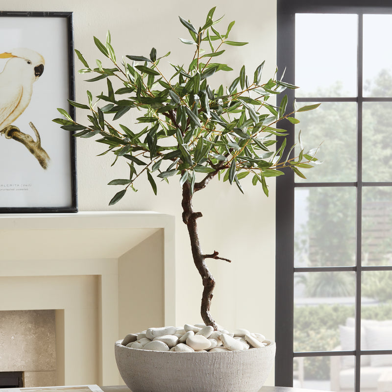 NAPA Home & Garden, OLIVE TREE DROP-IN 40",N5CC32