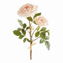 NAPA Home & Garden, English Rose Bundle
