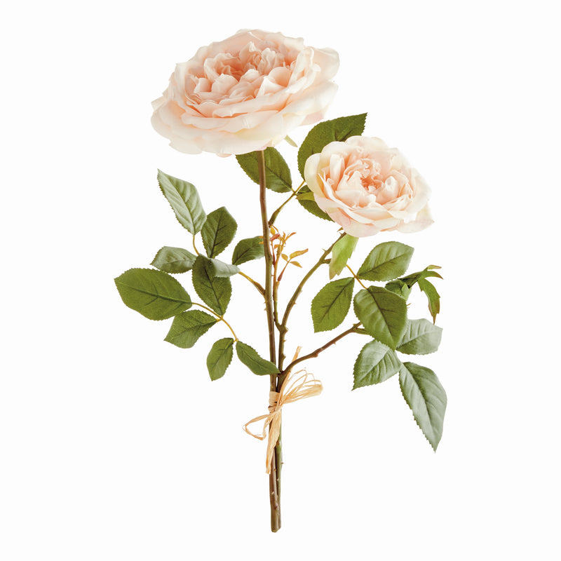 NAPA Home & Garden, ENGLISH ROSE, BUNDLE OF 2,N5CC34RG