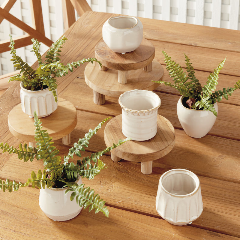 NAPA Home & Garden, DEZIE MINI POTS, SET OF 6,N5CH18CR