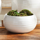 NAPA Home & Garden, ANDERSON DECORATIVE BOWL,N5DG29WH