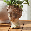 NAPA Home & Garden, WEATHERED GARDEN ANTHEIA PLANTER,N5DG45