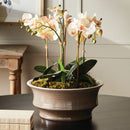 NAPA Home & Garden, TREMEZZO LOW BOWL,N5MP35