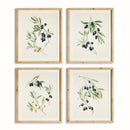 NAPA Home & Garden, OLIVE STEMS STUDY, SET OF 4,N5NH31