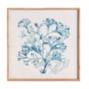 TRANSLUCENT CORAL PRINT