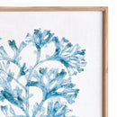 TRANSLUCENT CORAL PRINT