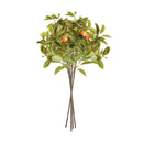 Faux Orange Stems 31", Set Of 4